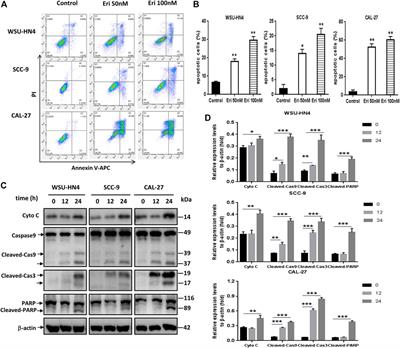 PPT1 Reduction Contributes to Erianin-Induced Growth Inhibition in Oral Squamous Carcinoma Cells